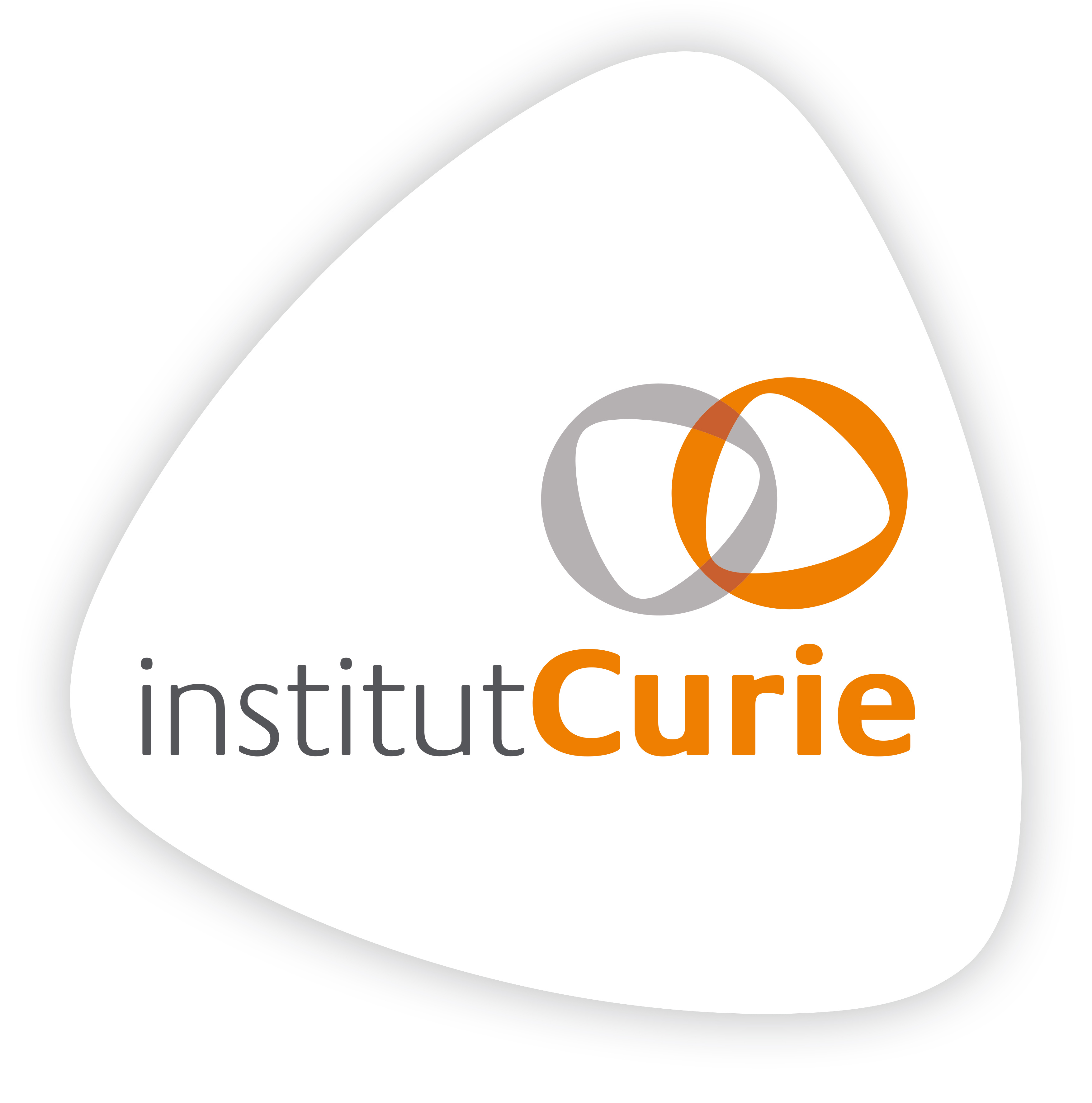 Curie Institute